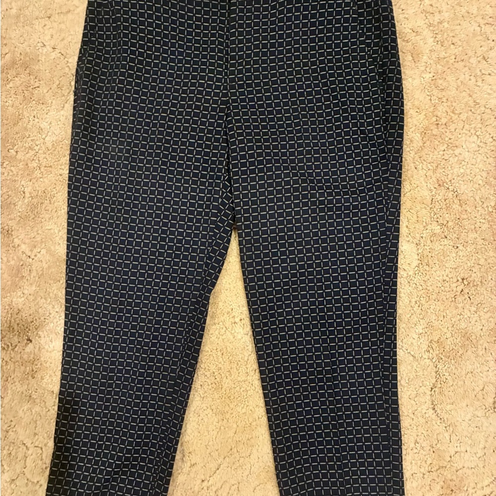 Banana Republic Navy and White Cropped Pants